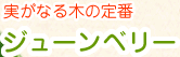 ジューンベリー