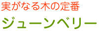 ジューンベリー