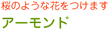 アーモンド