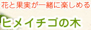 ヒメイチゴ