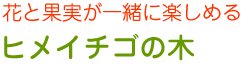 アーモンド