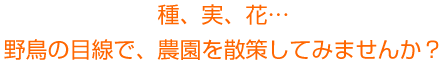 種、実、花・・・
