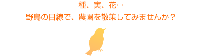 種、実、花・・・