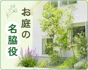 お庭の名脇役