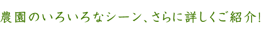 農園のいろいろなシーン