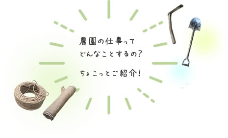 農園の仕事