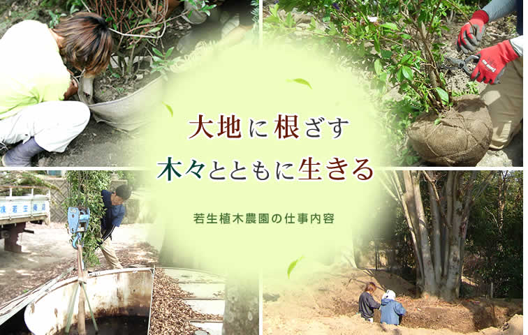 大地に根ざす木々とともに生きる