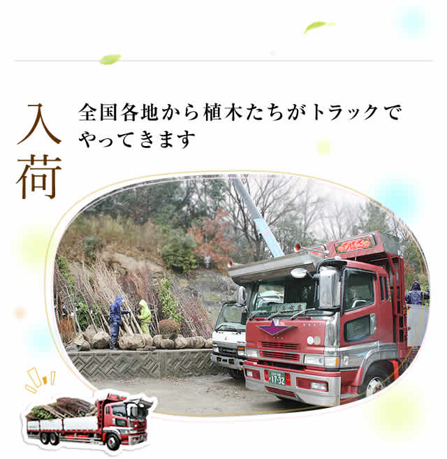 入荷
