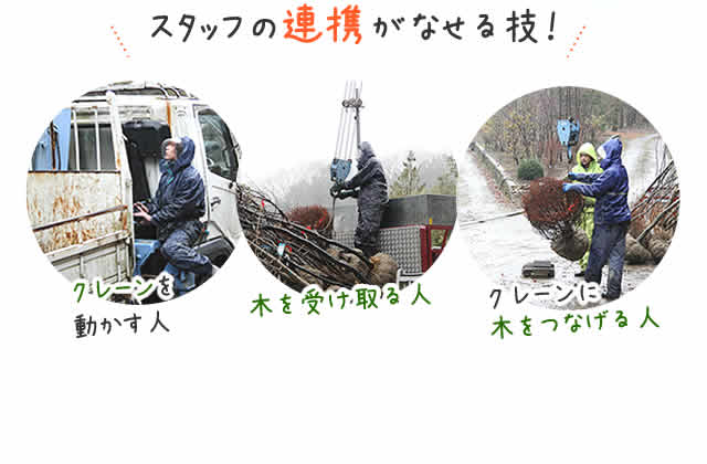 スタッフ連携
