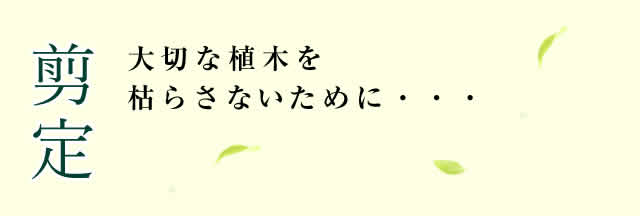 剪定
