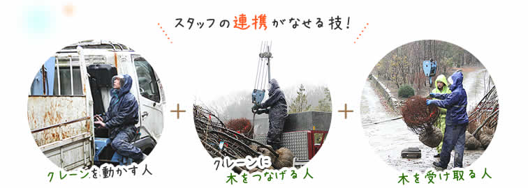 スタッフ連携