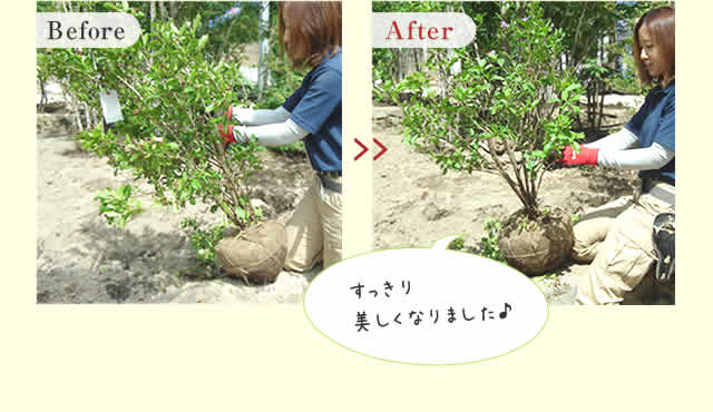 ビフォーアフター