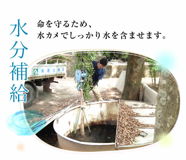 水分補給