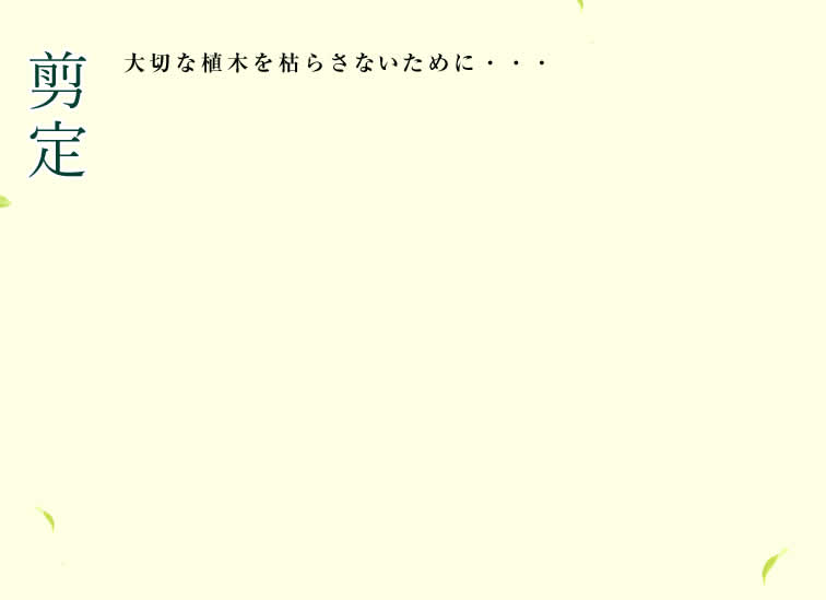 剪定