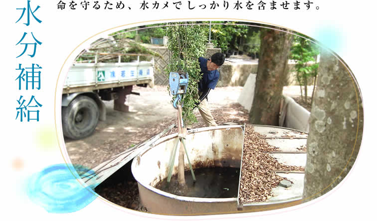 水分補給