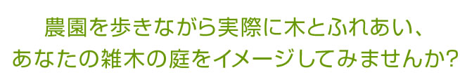 農園で歩きながら雑木の庭をイメージしてください